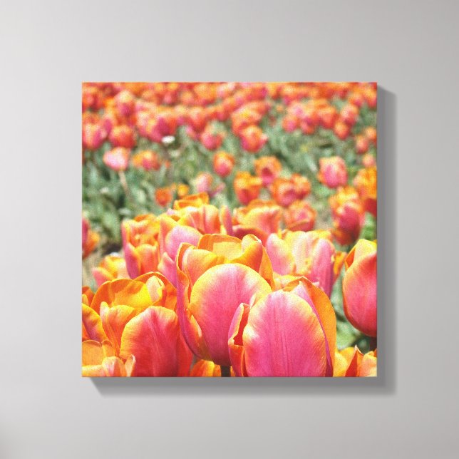 impressão de arte em tela 12x12 Tulipa Flores tela (Frente)