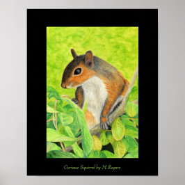 Impressão de Arte Esquilo Curiosa