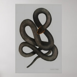 Impressão de Arte Fina Black Cobra A3 A4. Vintage 