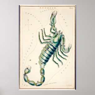 Impressão de Arte Fina da Constelação de Escorpião
