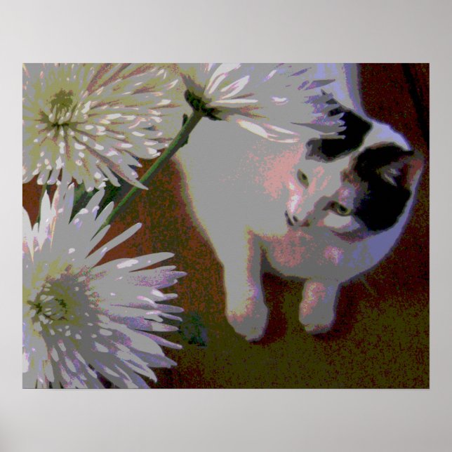 Impressão de arte fina de gato com crisântemos (Frente)