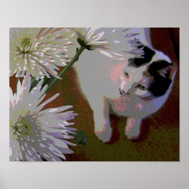 Impressão de arte fina de gato com crisântemos (Frente)