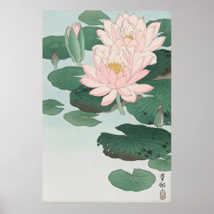 Impressão de Arte Fina de Nenúfar Ohara Koson Japo