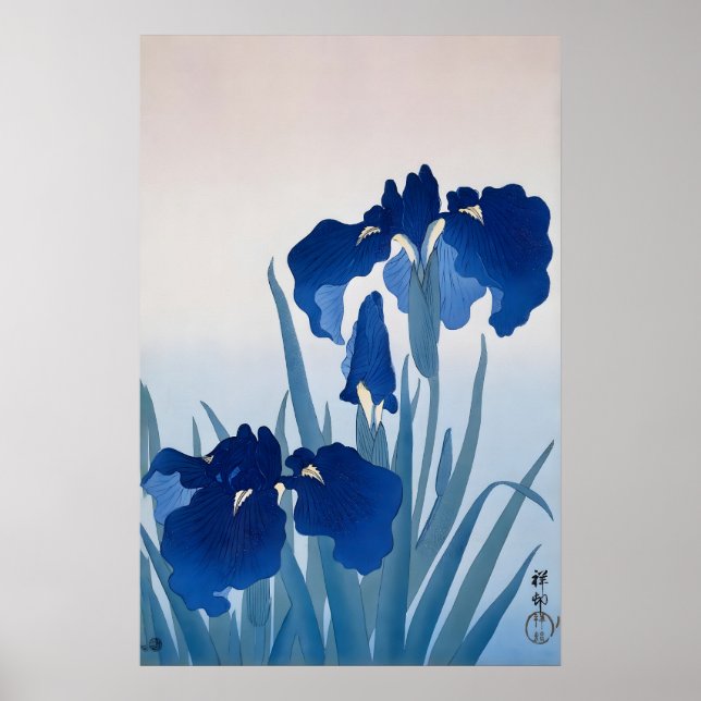 Impressão de Arte Fina Japonesa Íris Azul  Parede  (Frente)