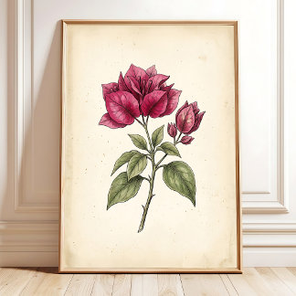 Impressão de Arte Flor de Bougainvillea