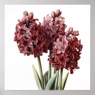 Impressão de Arte Flor de Hyacindy