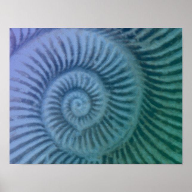 Impressão de Arte Fóssil de Ammonite Espiral Roxo  (Frente)