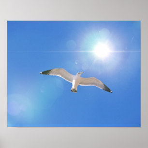 Impressão de Arte Fotográfica em Pássaro Branco