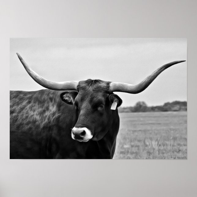 Impressão de Arte Fotográfica em Vaca Longhorn (Frente)