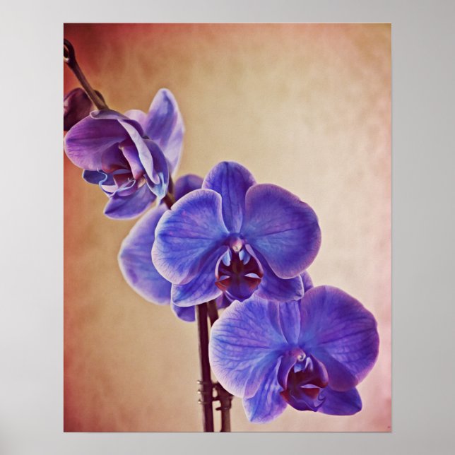 Impressão de Arte Fotográfica Orquídea Azul (Frente)