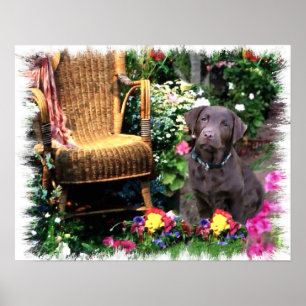 Impressão de Arte Labrador Retriever