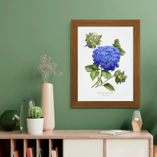 Impressão de Arte Original de Hortênsia Azul