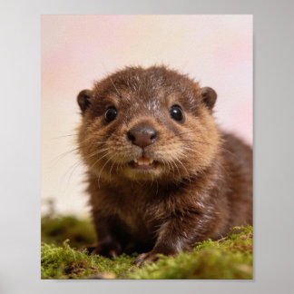 Impressão de Arte para Berçário de Castor Bebê