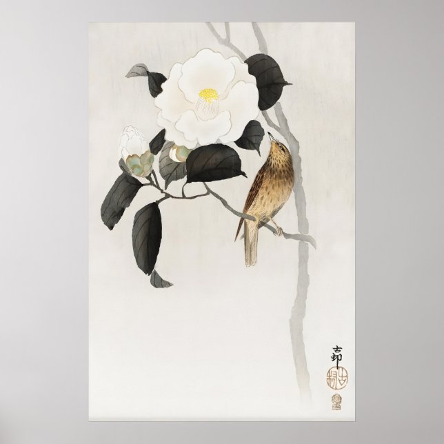 Impressão de Arte para Parede de Pássaro Camélia J (Frente)