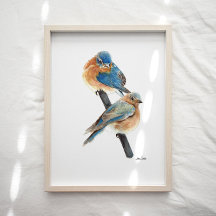 Impressão de Arte por Aquarela do Casal Bluebird