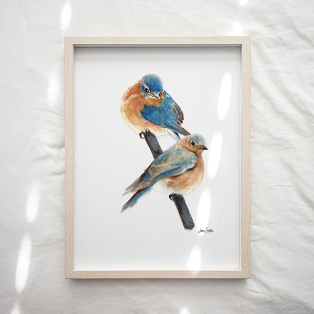 Impressão de Arte por Aquarela do Casal Bluebird (Bluebird watercolor art print from Jennifer Steffen, Jenn's Emporium. )