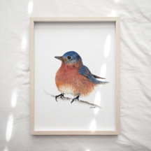 Impressão de Arte por Aquarelas de Bluebird