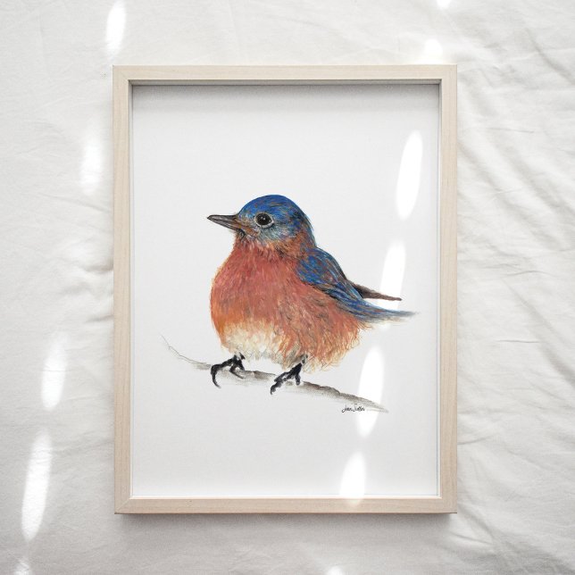Impressão de Arte por Aquarelas de Bluebird (Criador carregado)