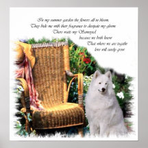 Impressão de Arte Samoyed