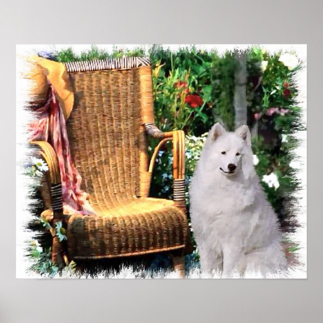 Impressão de Arte Samoyed (Frente)