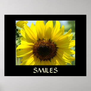 Impressão de Arte SMILES Girassóis Amarelos Arte d