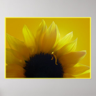 Impressão de Arte Sunflower Bonita Impressão de