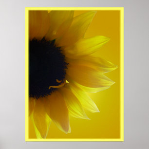 Impressão de Arte Sunflower Bonita Impressão de