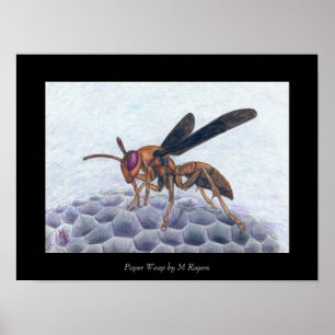 Impressão de Arte Wasp de Papel