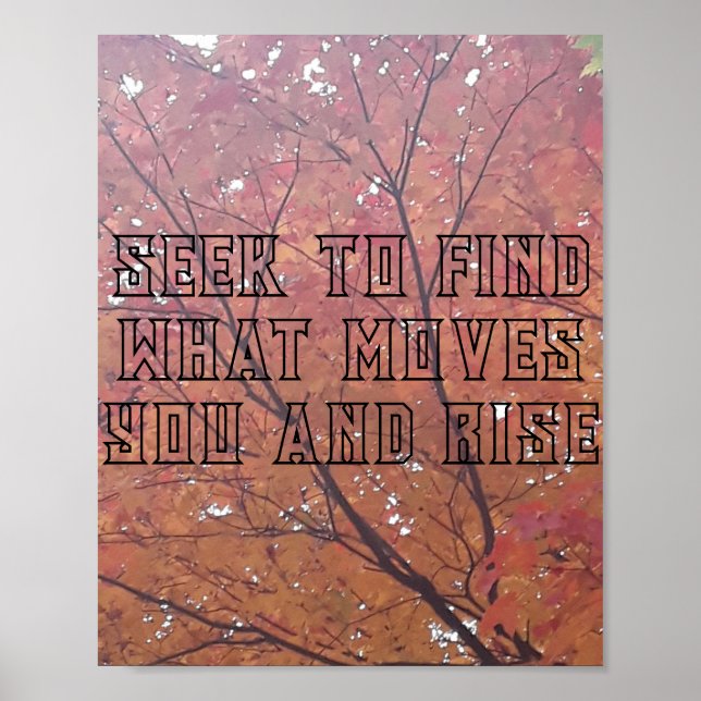 Impressão de Artista, Papel Poster de Valor (Matte (Frente)