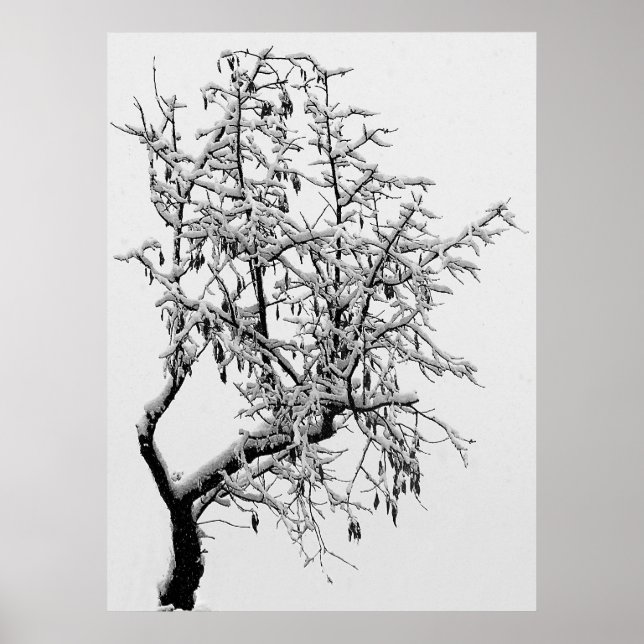 Impressão de árvore de inverno (Frente)