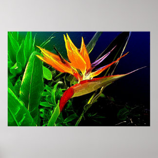 Impressão de aves aquáticas