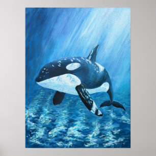 Impressão de Baleia Orca Trent TODOS OS TAMANHOS