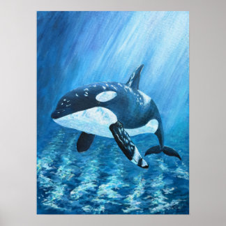 Impressão de Baleia Orca Trent TODOS OS TAMANHOS