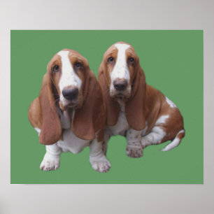 Impressão de Basset Hound Buddies