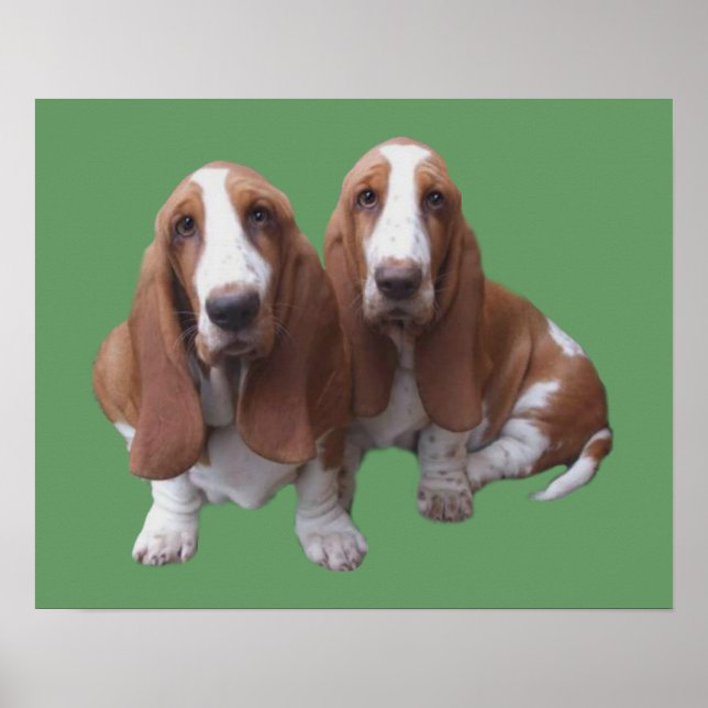 Impressão de Basset Hound Buddies (Frente)