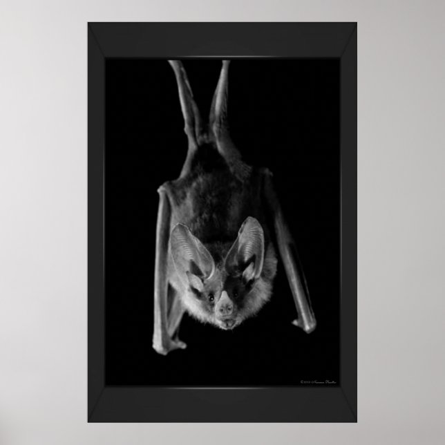 Impressão de Bat (Frente)