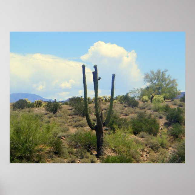 Impressão de beleza de supersão (Frente)