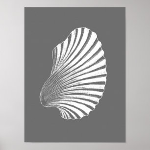 Impressão de Bloco de Shell Scallop, Cinzas/Cinza