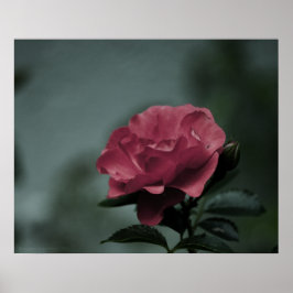 Impressão de Blush Real