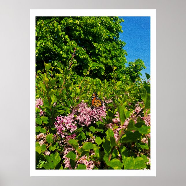 Impressão de Borboleta de Verão (Frente)