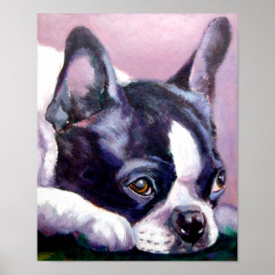 Impressão de Boston Terrier