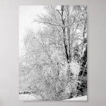 Impressão de Brancos de Inverno
