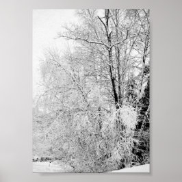 Impressão de Brancos de Inverno