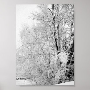 Impressão de brancos do inverno