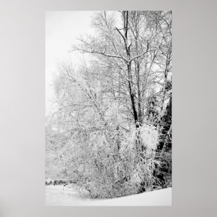 Impressão de brancos do inverno