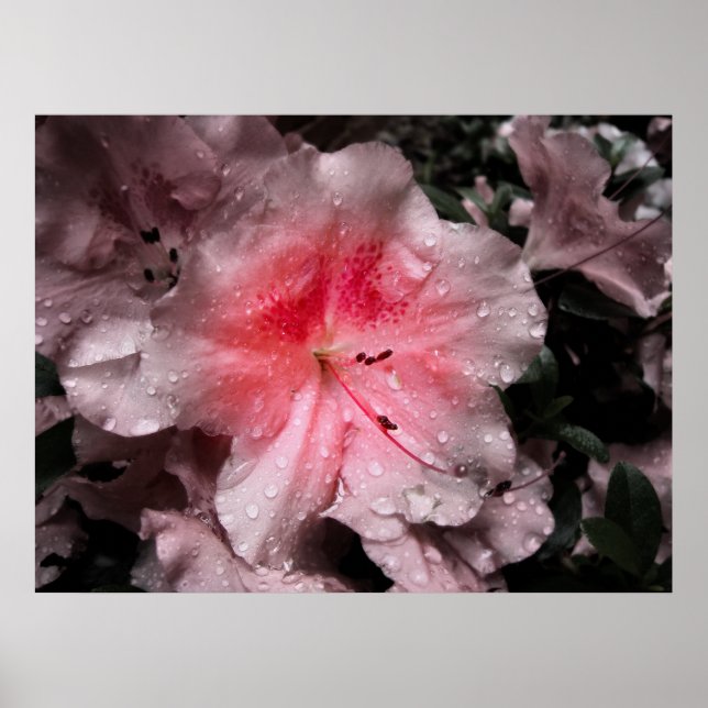 Impressão de Brilho Interior (Frente)