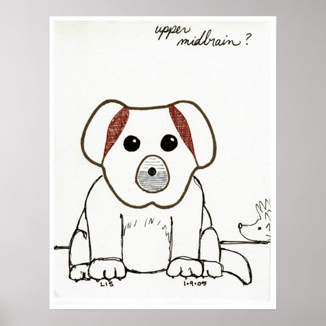 Impressão de cabeça média superior (Frente)