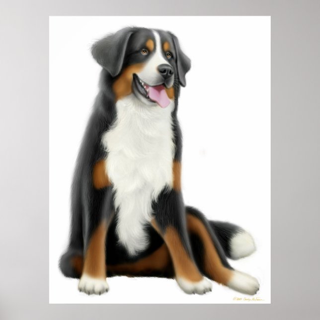 Impressão de Cachorro da Montanha Bernese (Frente)