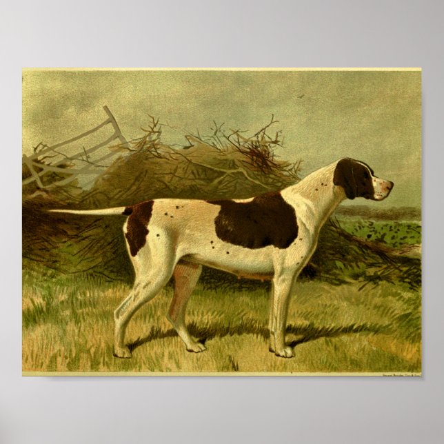 impressão de Cachorro de Ponteiro de 1881 (Frente)