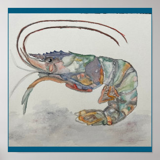 impressão de camarão por C. JONES